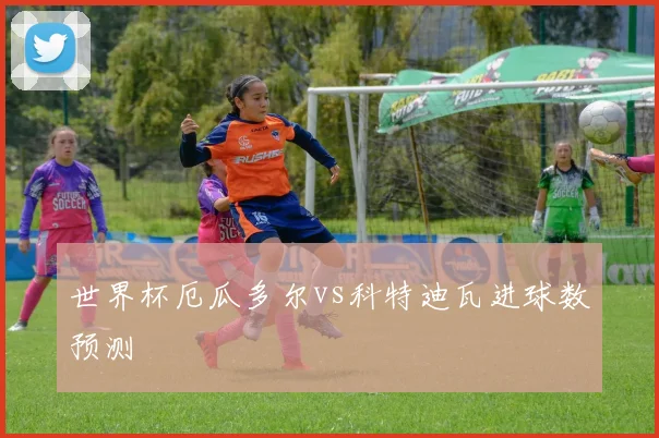 世界杯厄瓜多尔vs科特迪瓦进球数预测